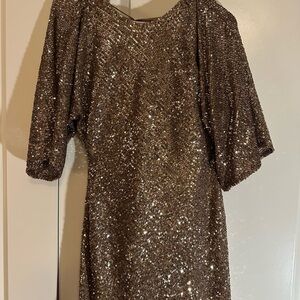 Zara Shimmering Bronze Sequin Dress